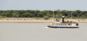 VISITA DOÑANA SANLUCAR