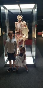 ALT MUSEO HUMAN BODY 2